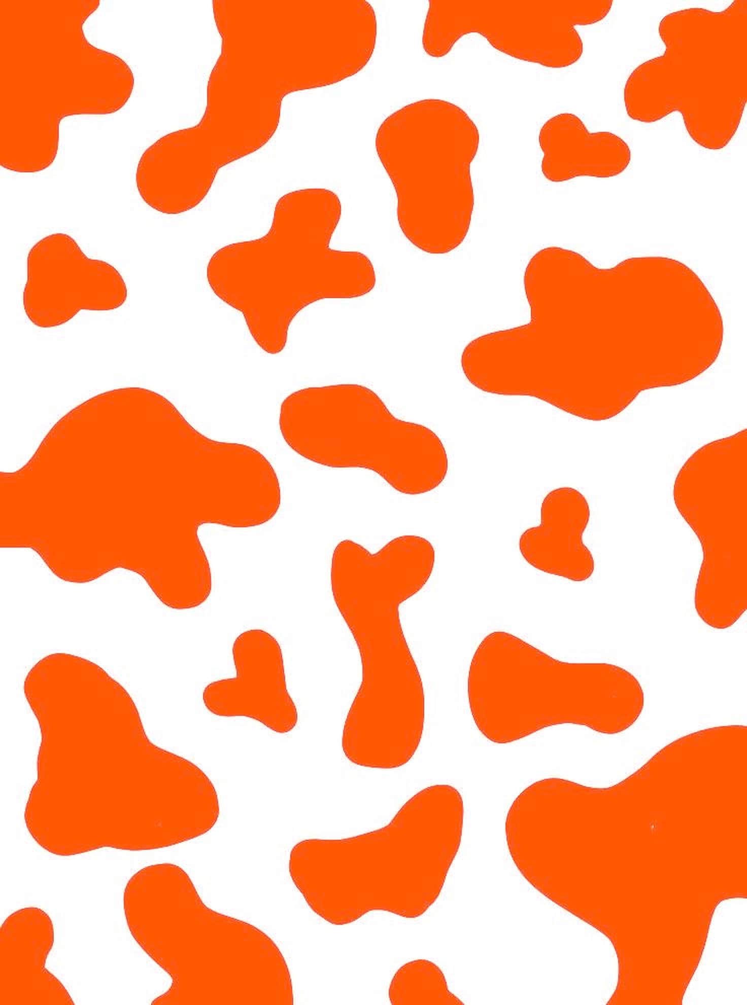 Aesthetic Cow Print Iphone Wallpapers