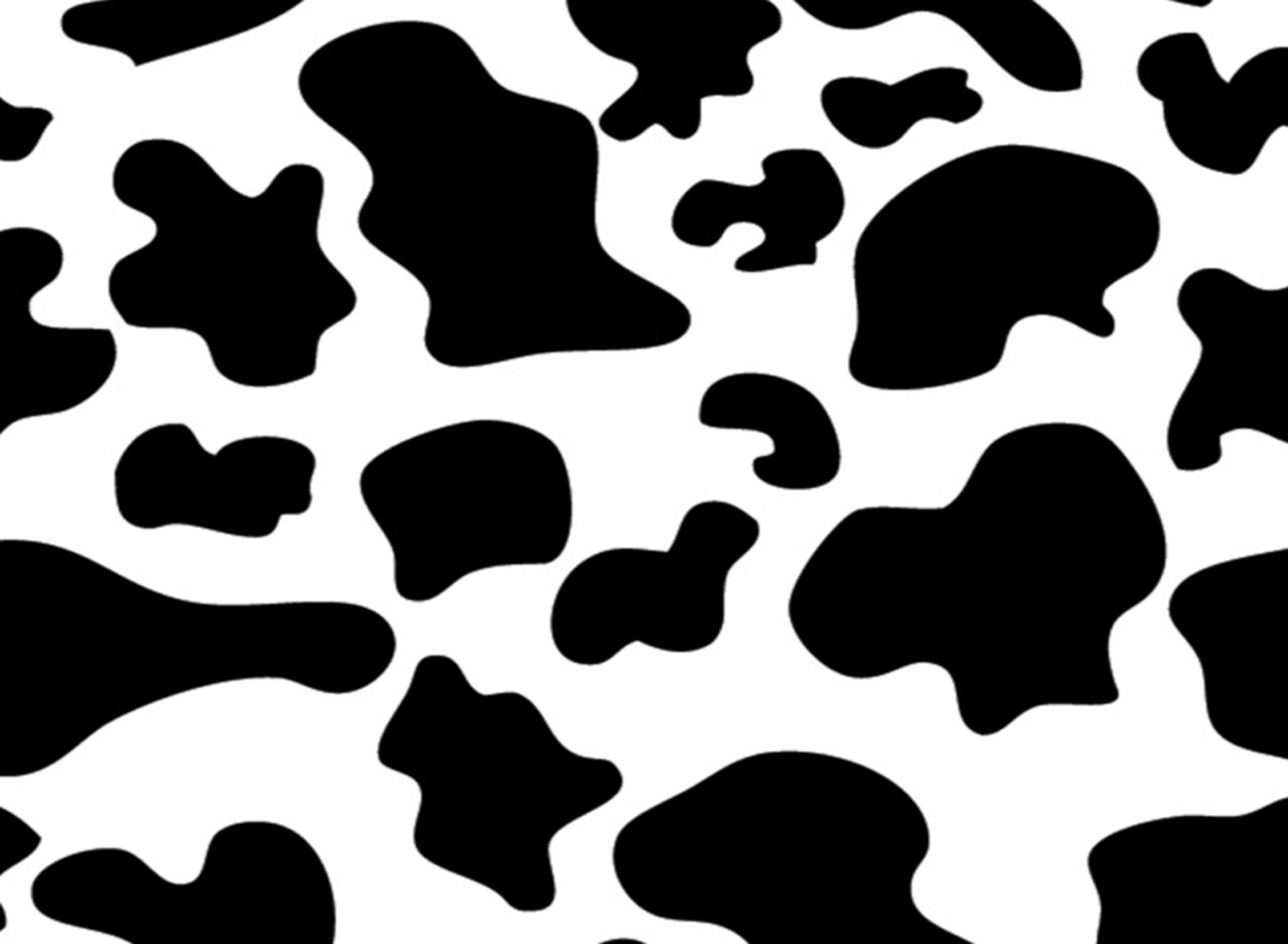 Aesthetic Cow Print Wallpapers