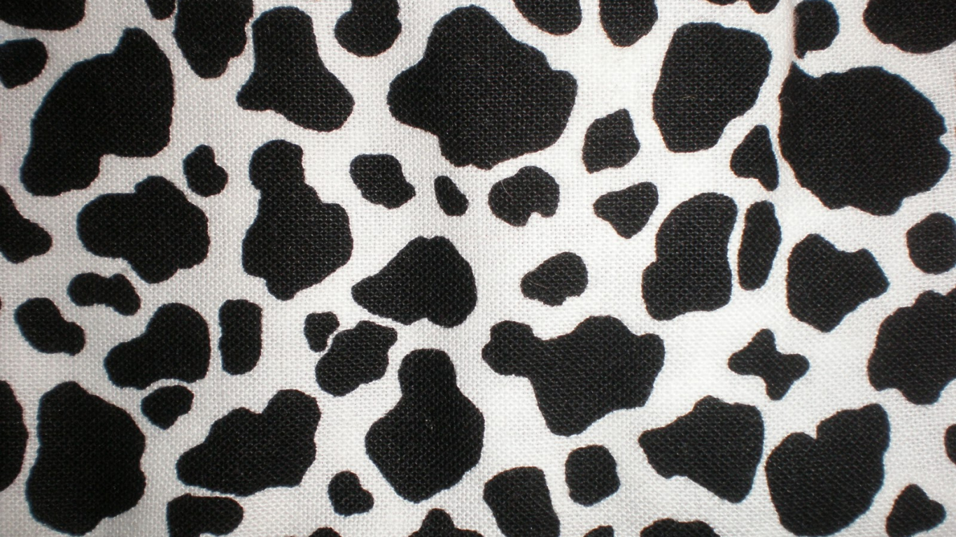 Aesthetic Cow Print Wallpapers