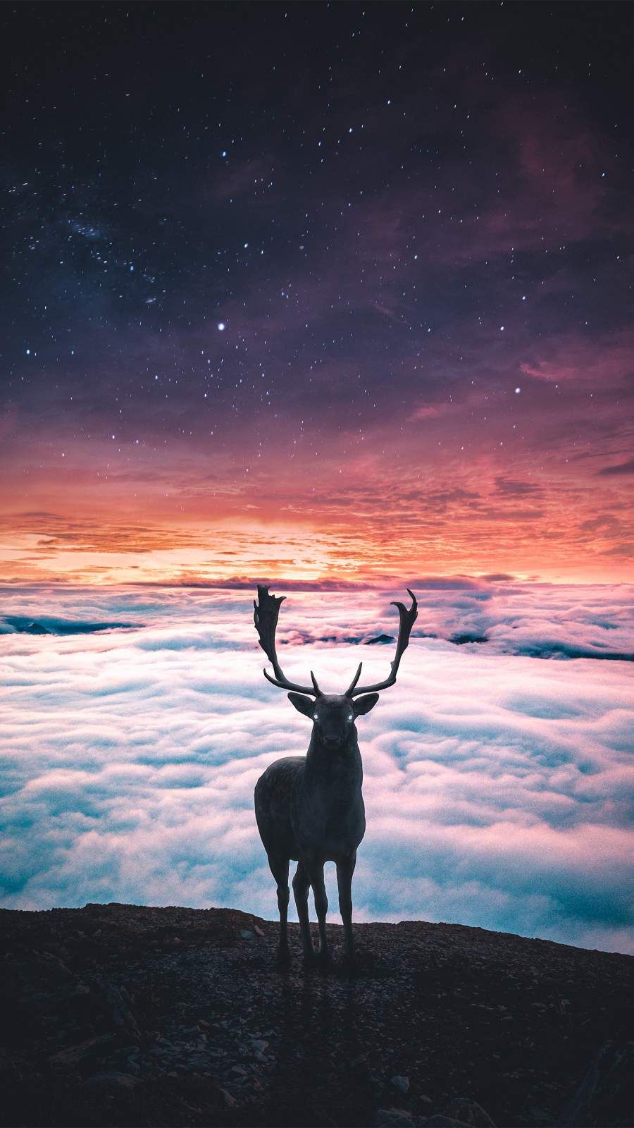 Aesthetic Deer Wallpapers