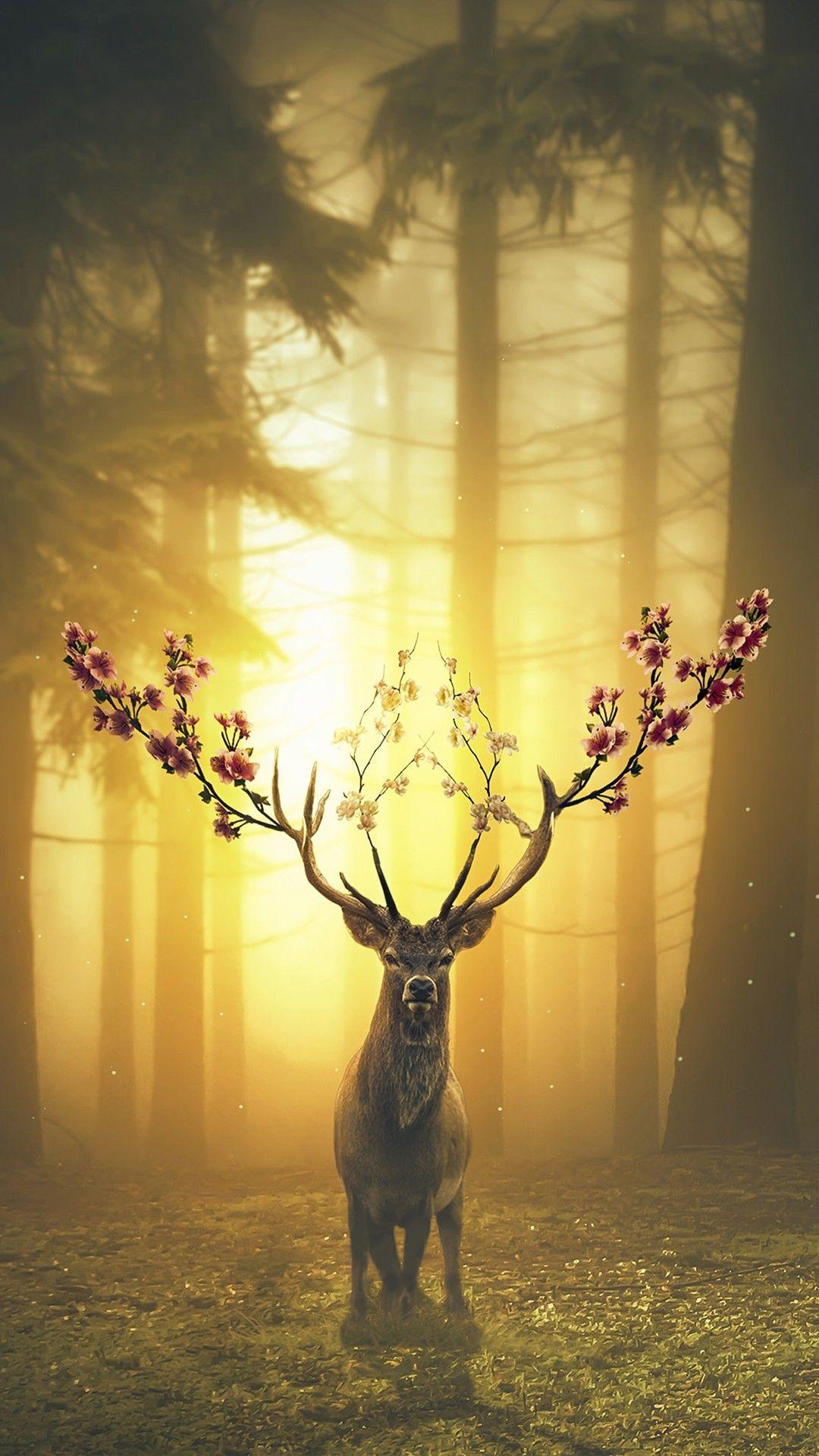 Aesthetic Deer Wallpapers