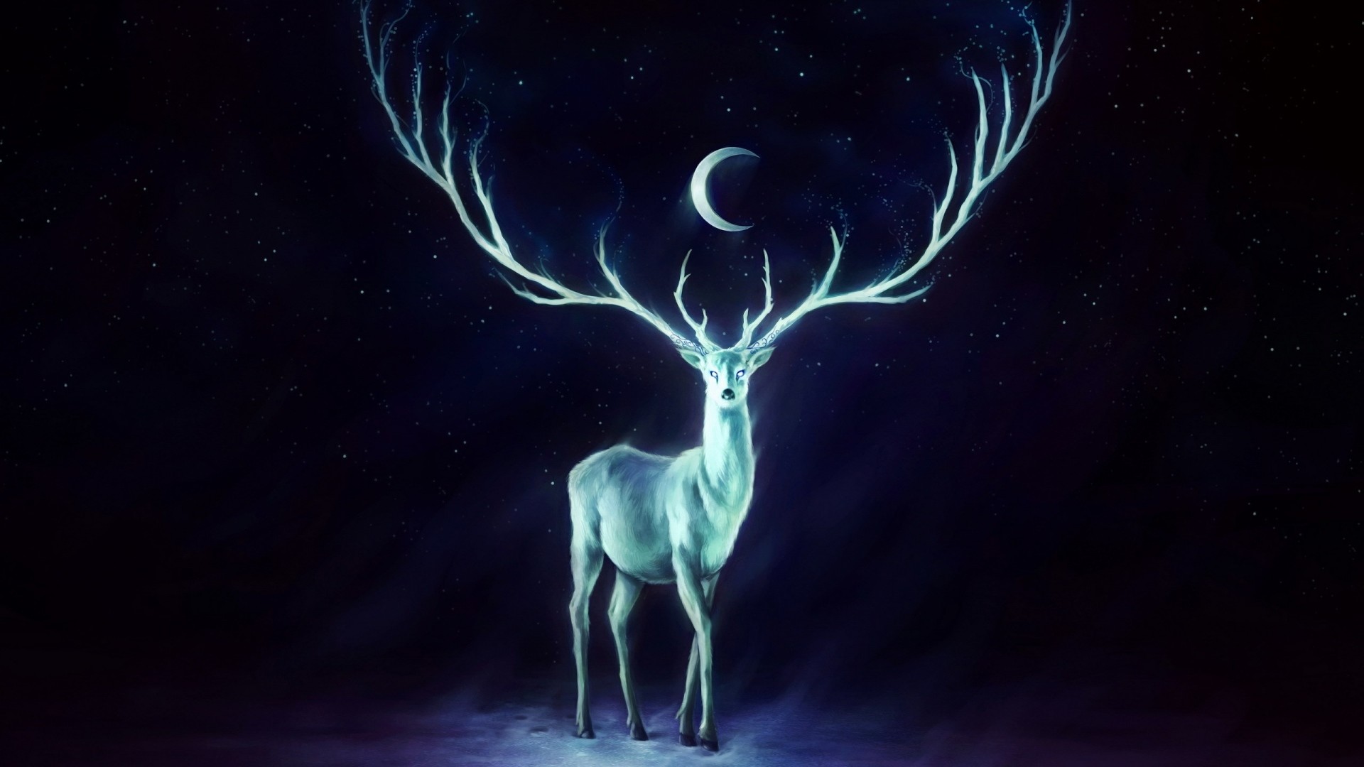 Aesthetic Deer Wallpapers