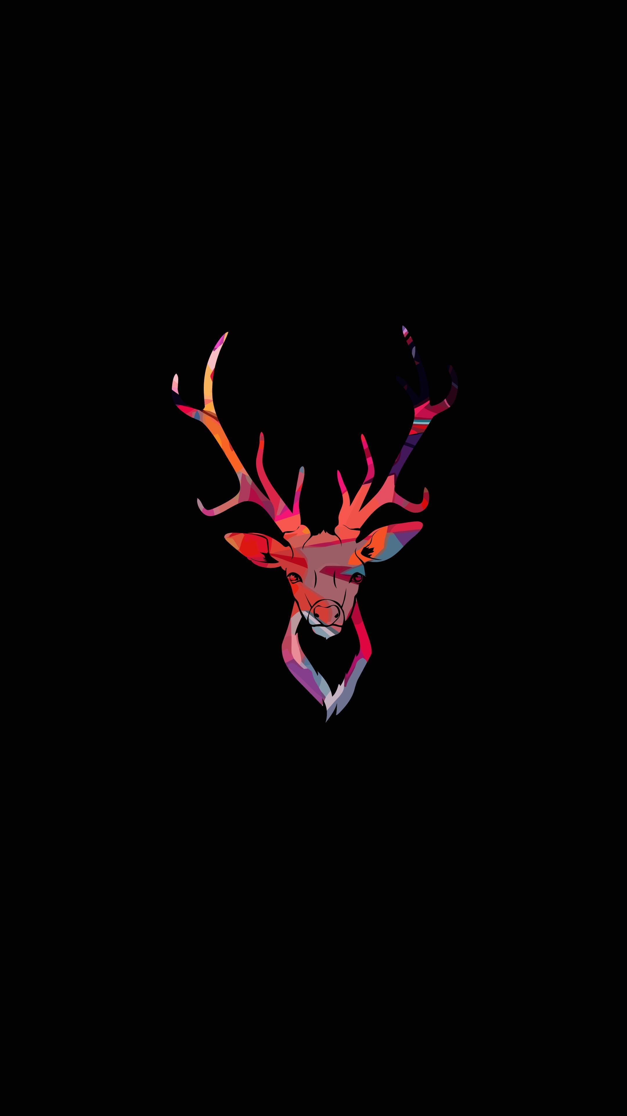 Aesthetic Deer Wallpapers