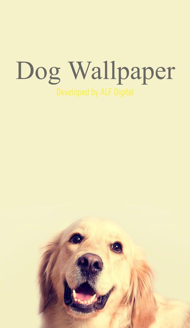 Aesthetic Dog Wallpapers