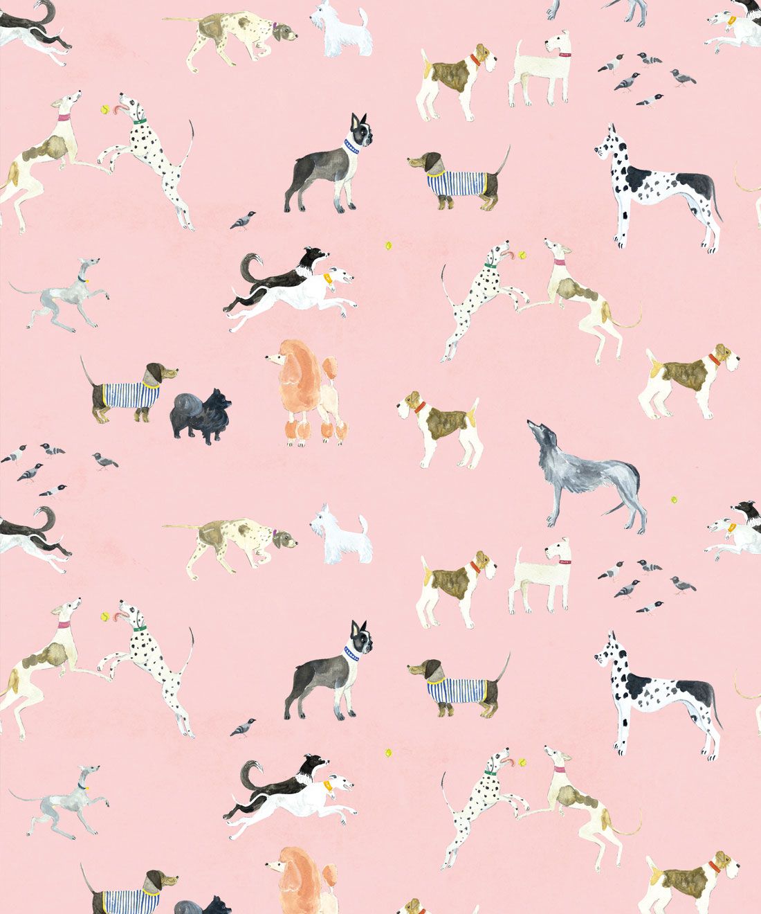 Aesthetic Dog Wallpapers