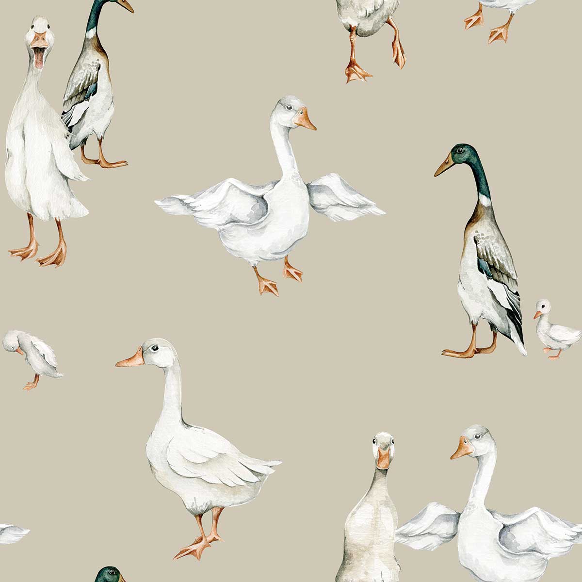 Aesthetic Duck Wallpapers