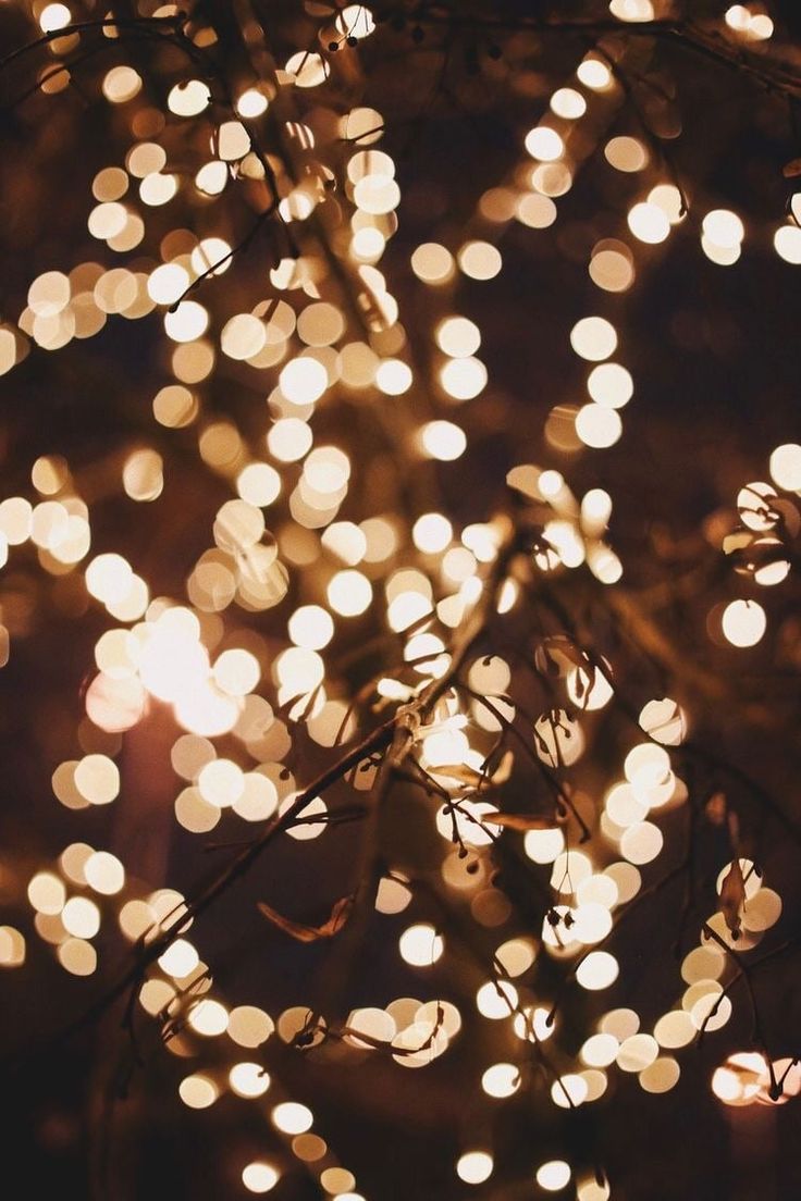 Aesthetic Fairy Lights Wallpapers