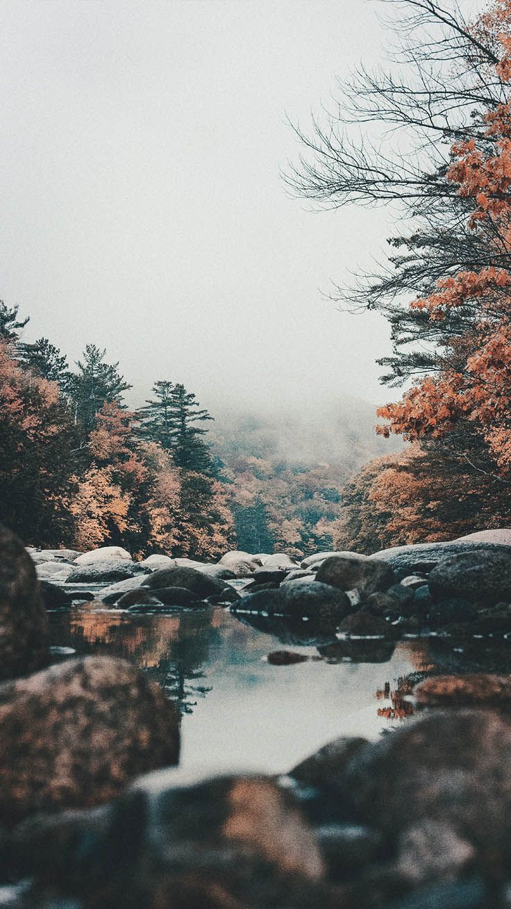 Aesthetic Fall Iphone Wallpapers