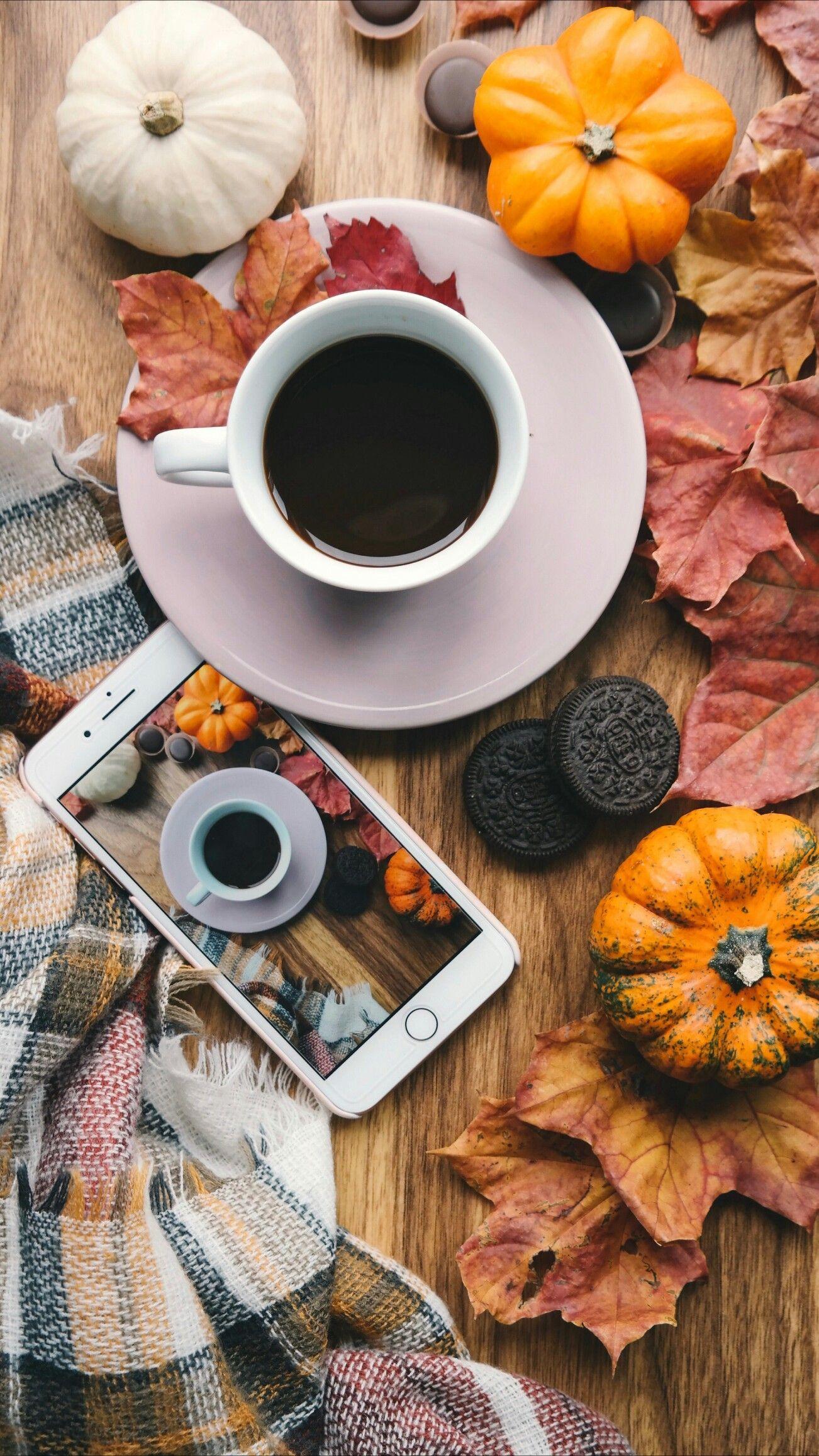 Aesthetic Fall Iphone Wallpapers