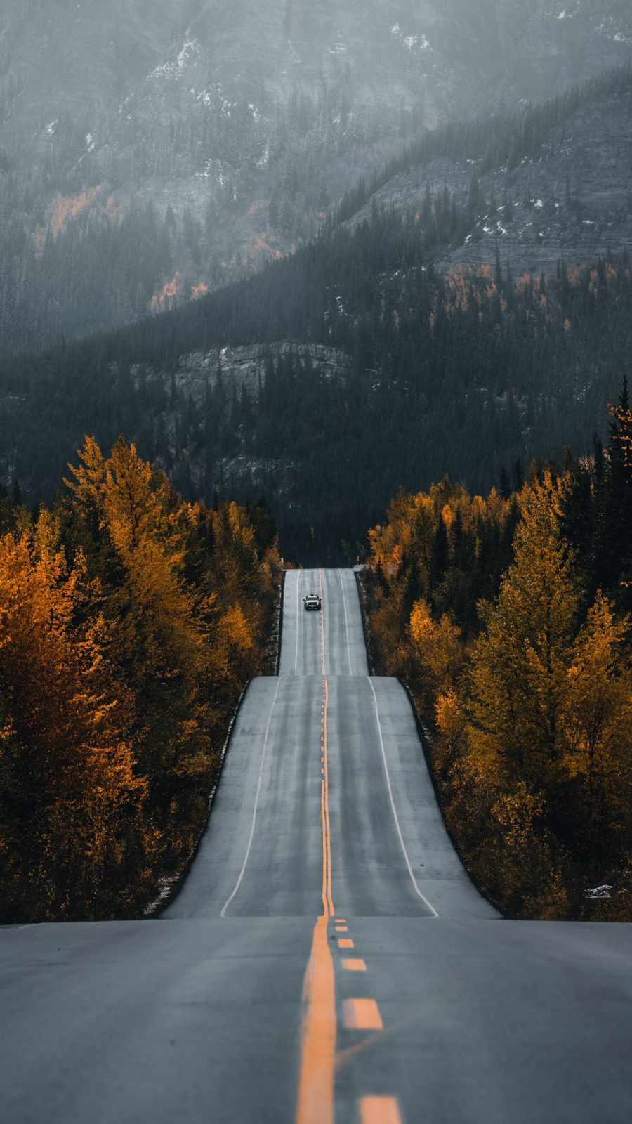 Aesthetic Fall Iphone Wallpapers