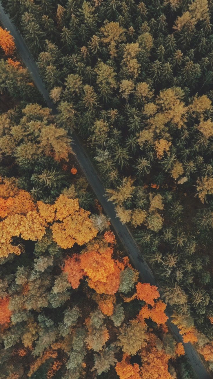 Aesthetic Fall Iphone Wallpapers