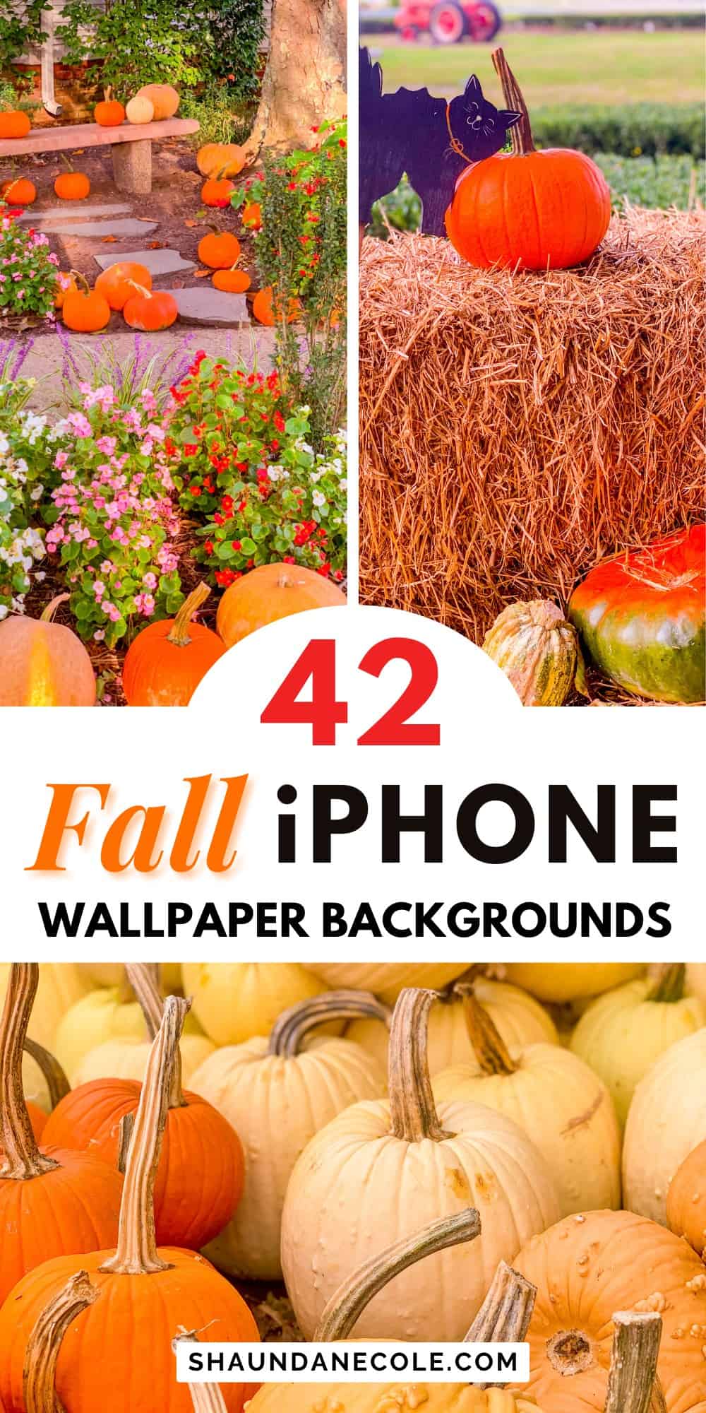 Aesthetic Fall Iphone Wallpapers