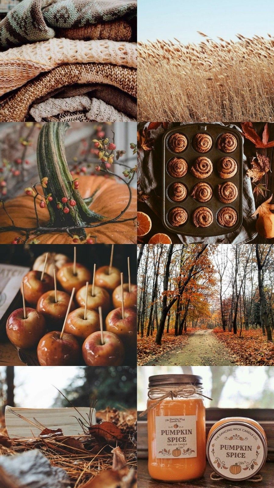 Aesthetic Fall Wallpapers