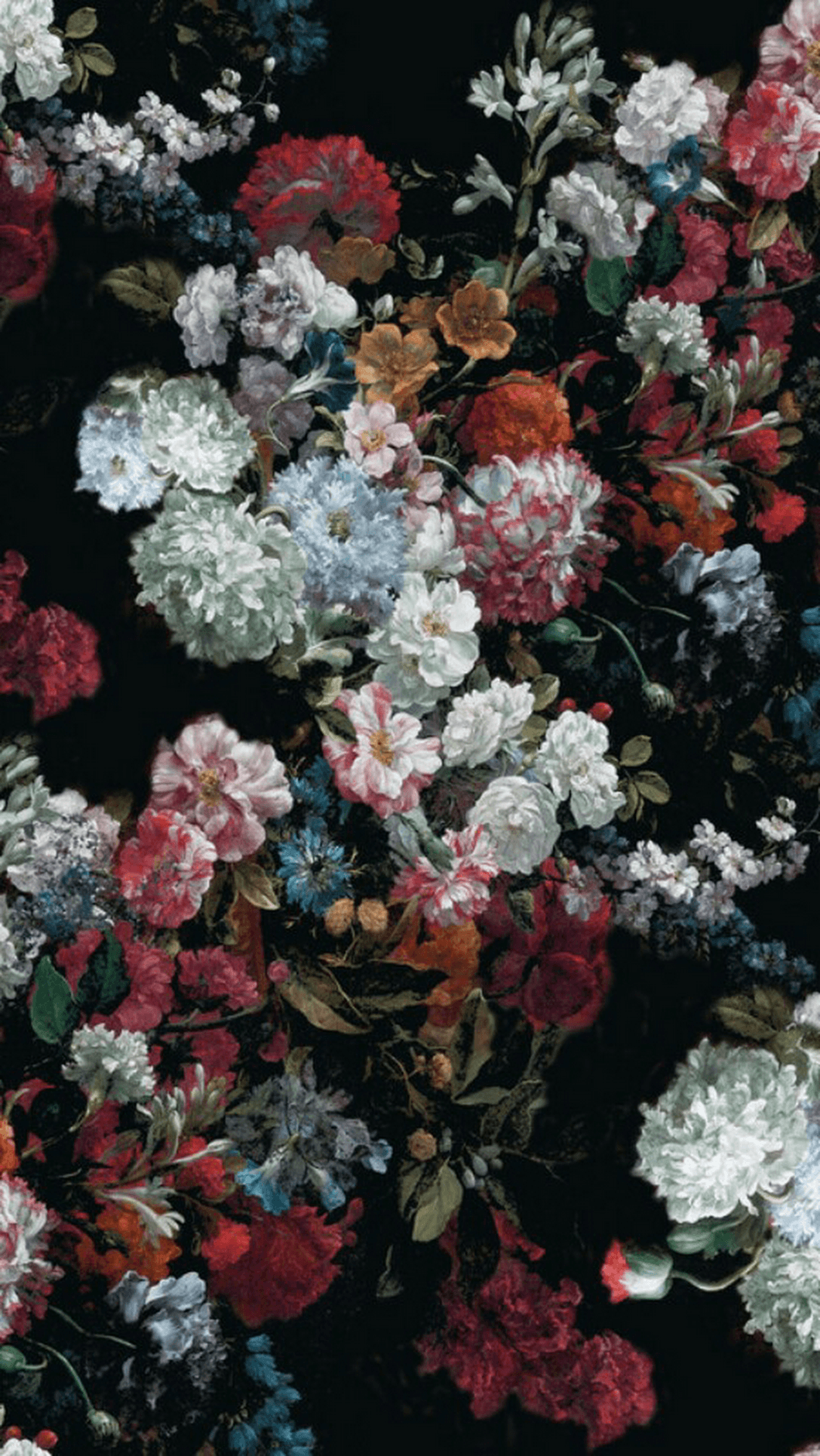 Aesthetic Floral Wallpapers