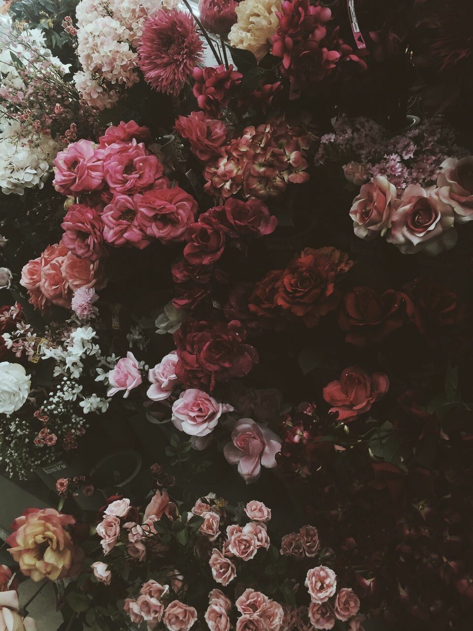 Aesthetic Flower Dark Wallpapers