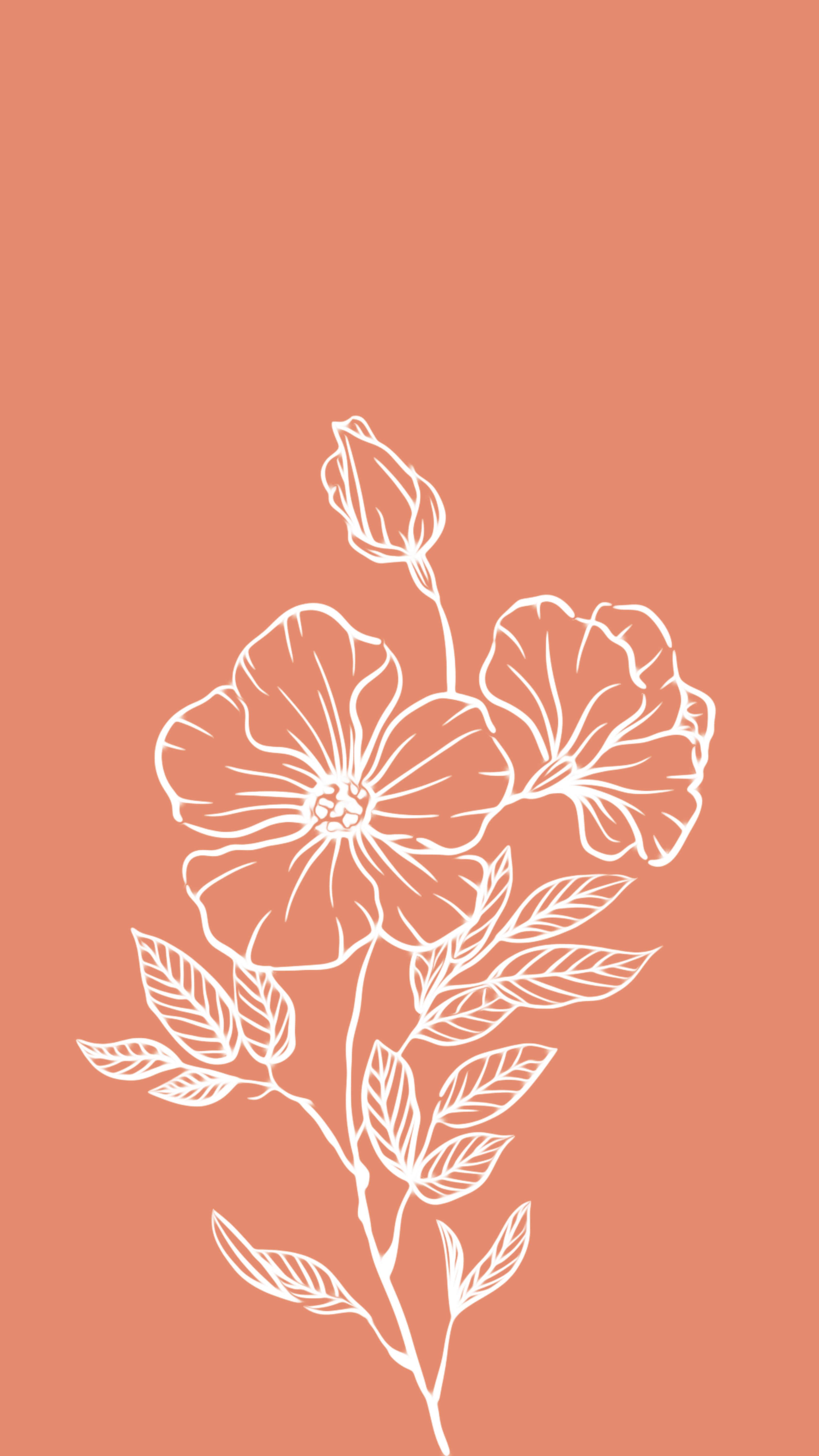 Aesthetic Flower Drawing Wallpapers