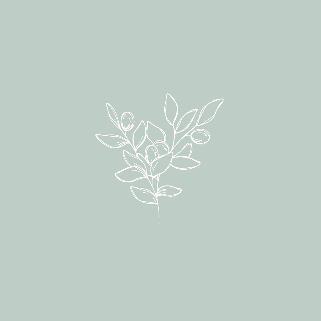 Aesthetic Flower Drawing Wallpapers