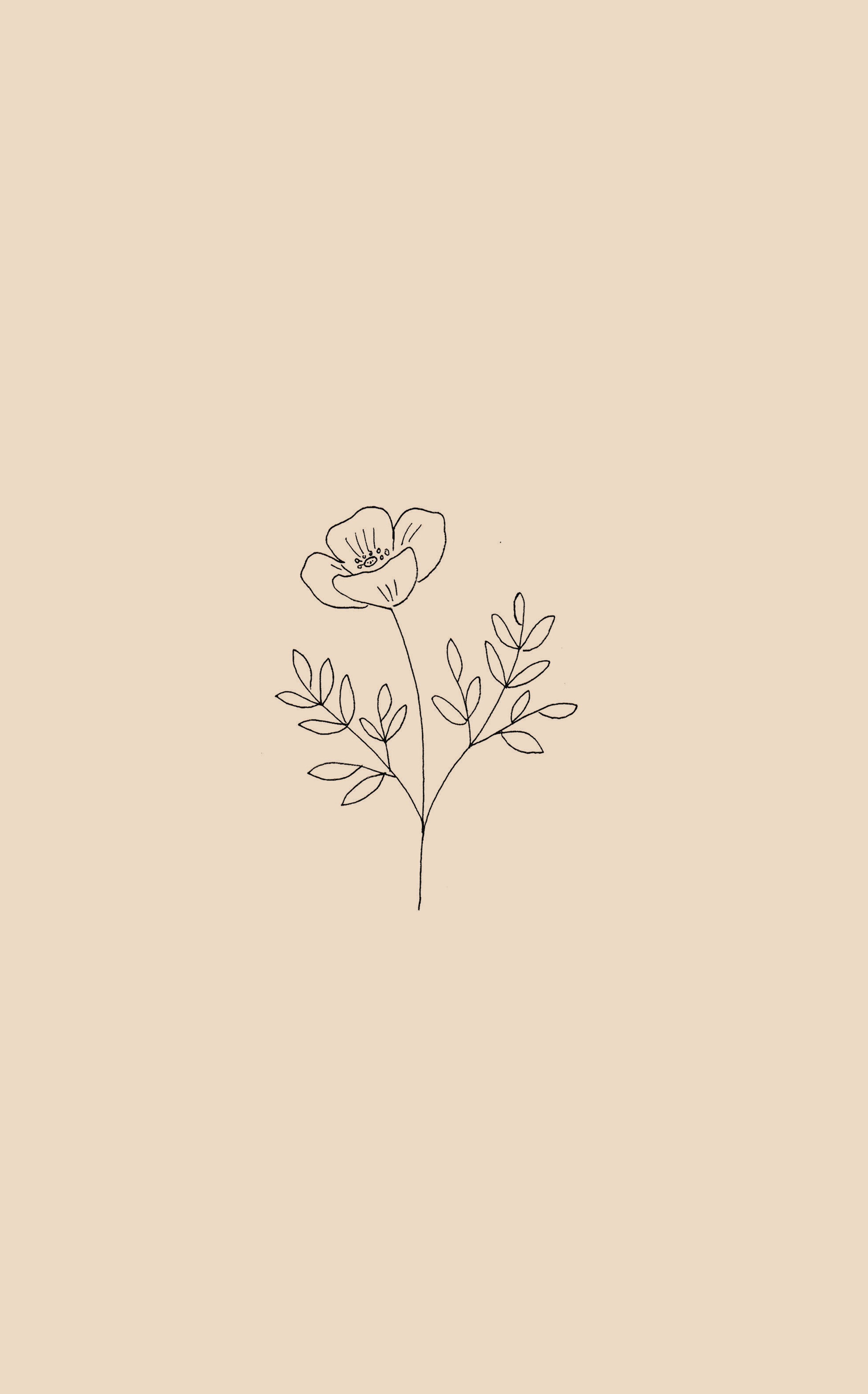 Aesthetic Flower Drawing Wallpapers
