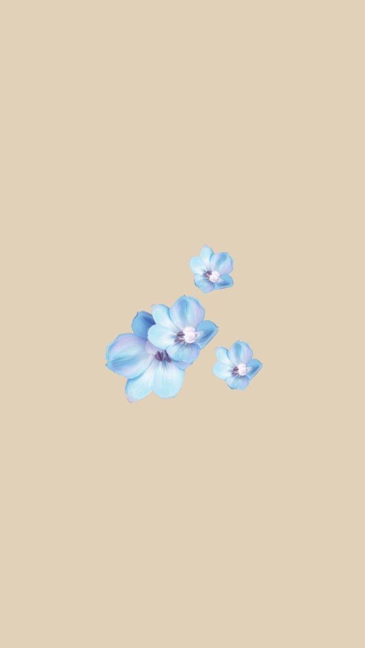 Aesthetic Flowers Wallpapers