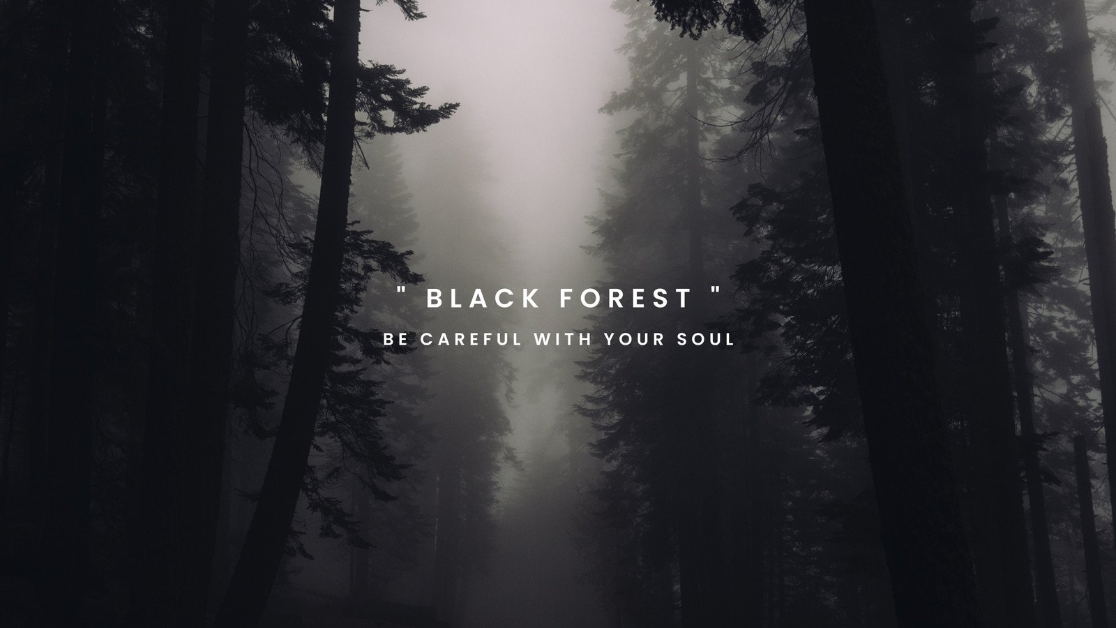 Aesthetic Forest Desktop Wallpapers