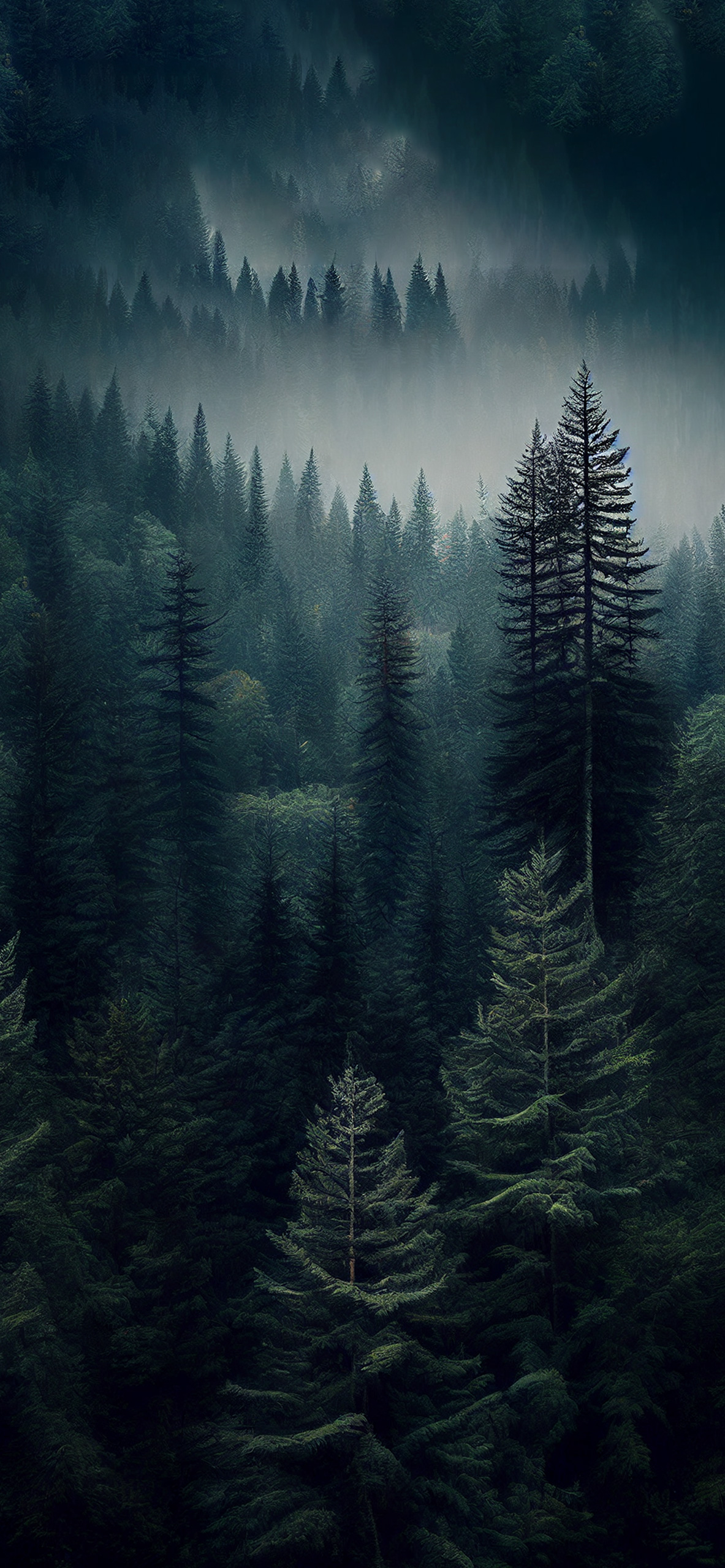 Aesthetic Forest Hd Wallpapers