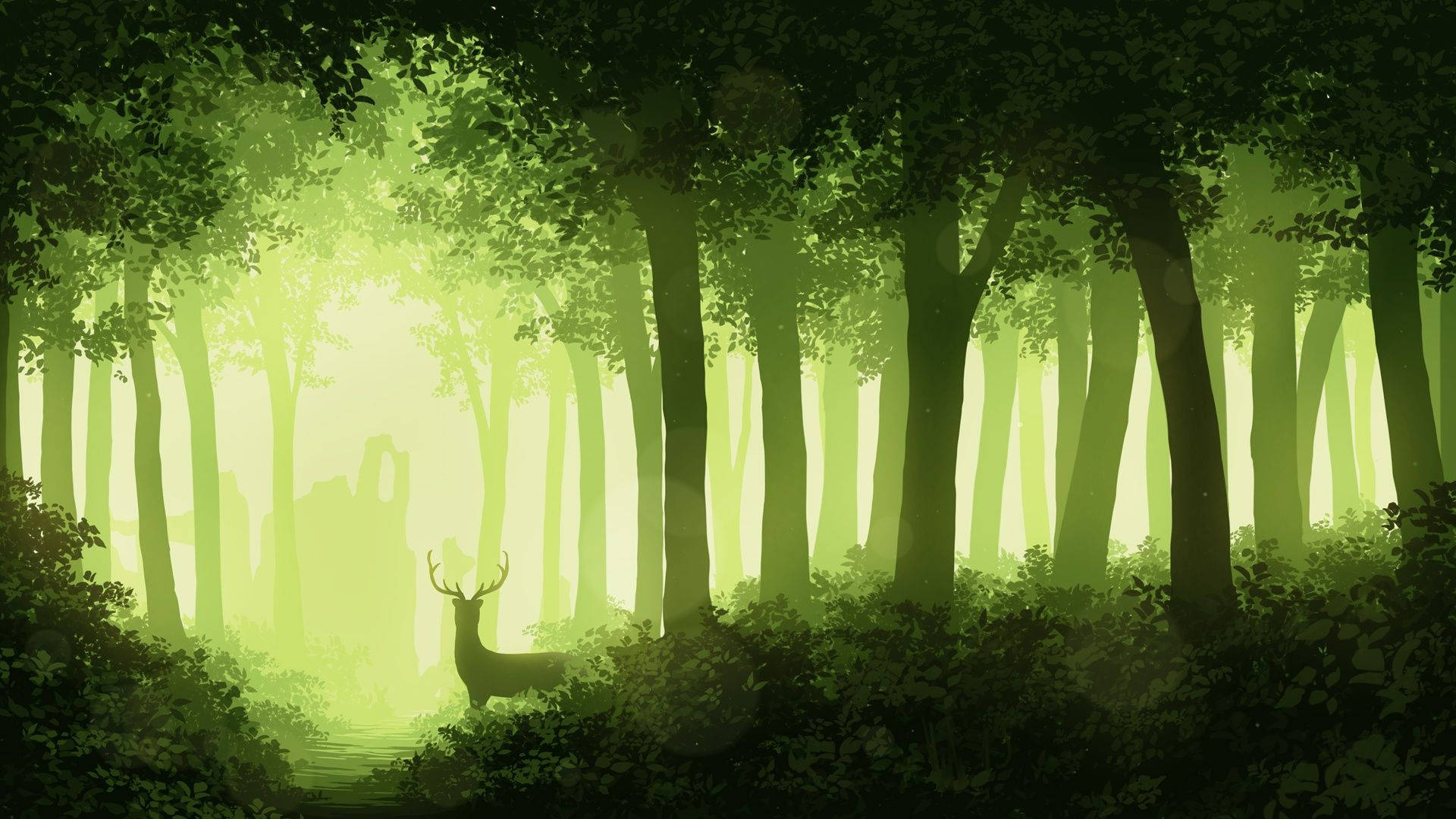 Aesthetic Forest Hd Wallpapers