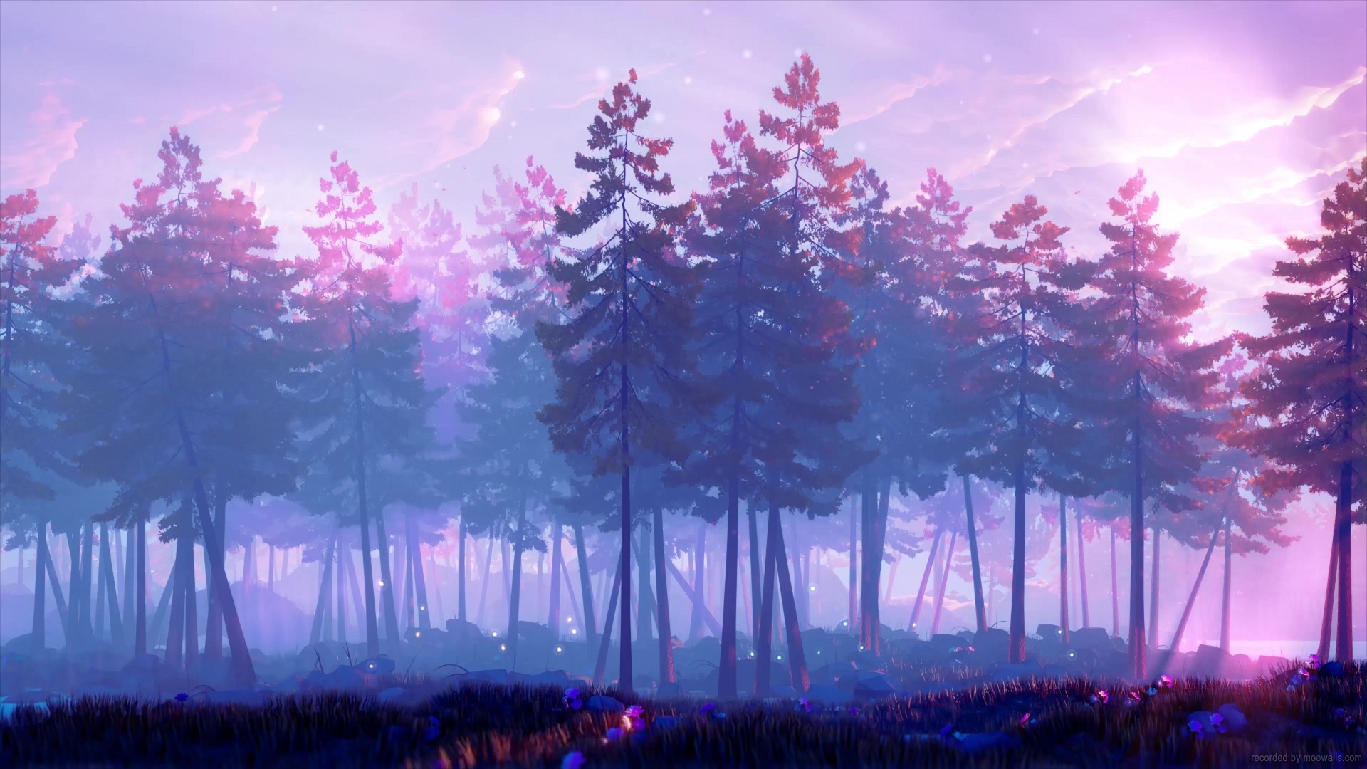 Aesthetic Forest Hd Wallpapers