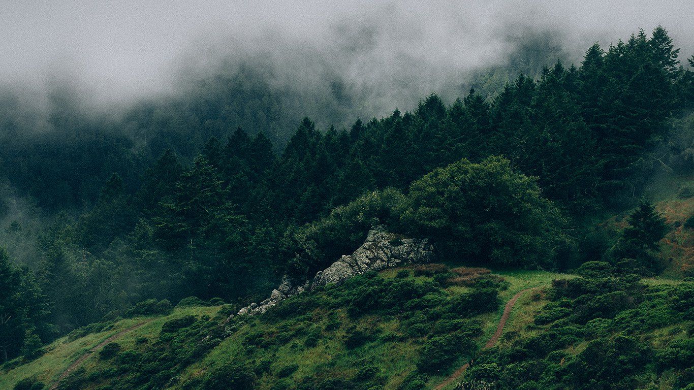 Aesthetic Forest Wallpapers