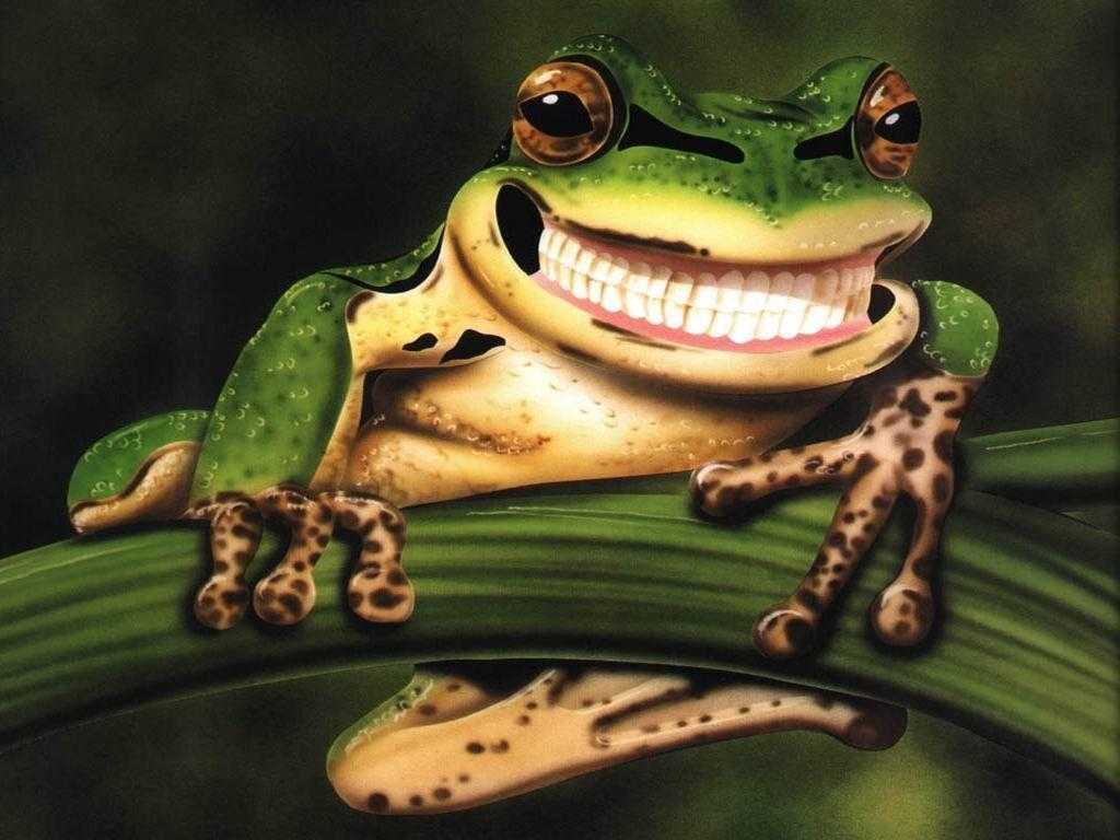 Aesthetic Frog Wallpapers