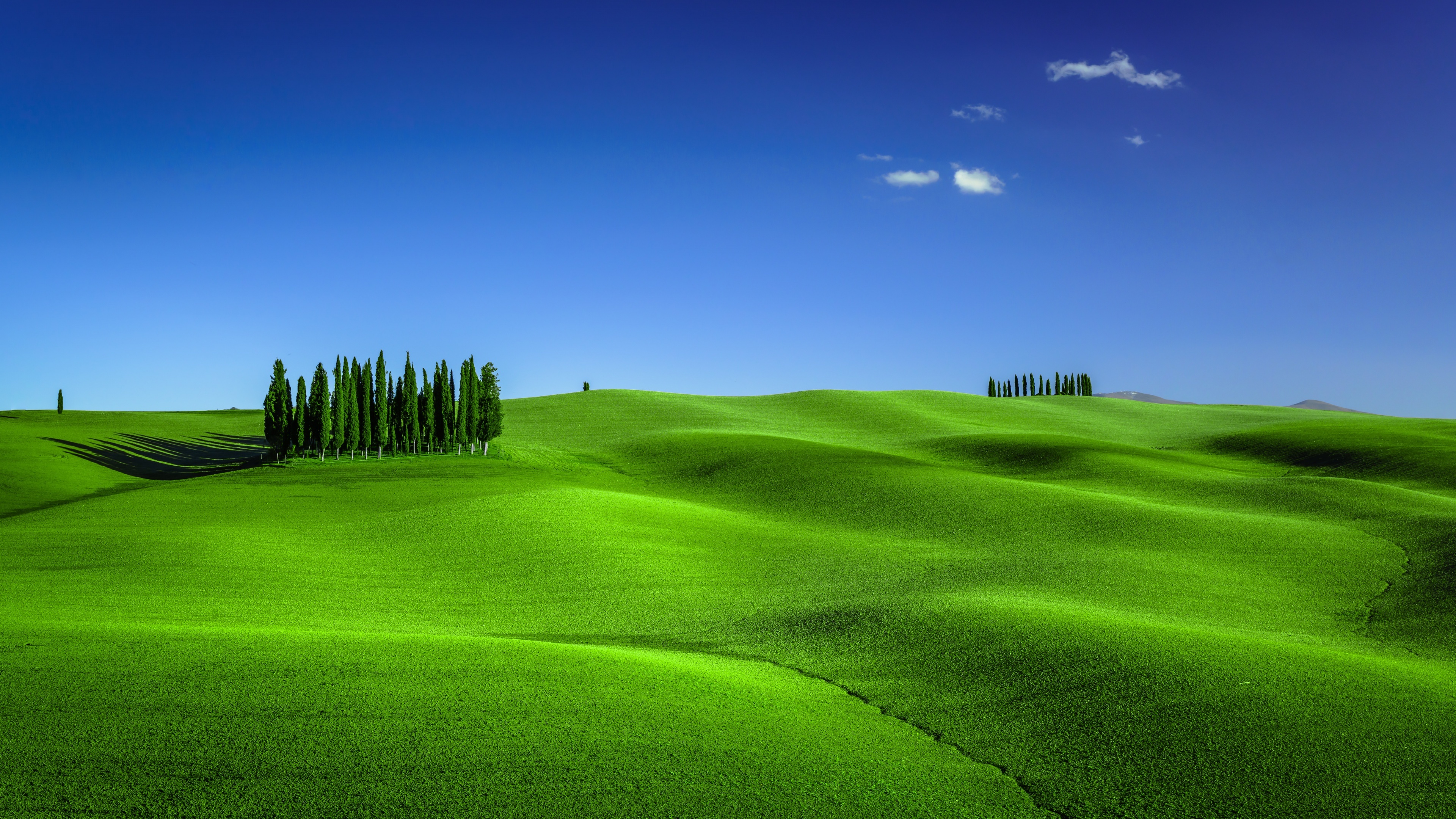 Aesthetic Grass Desktop Wallpapers