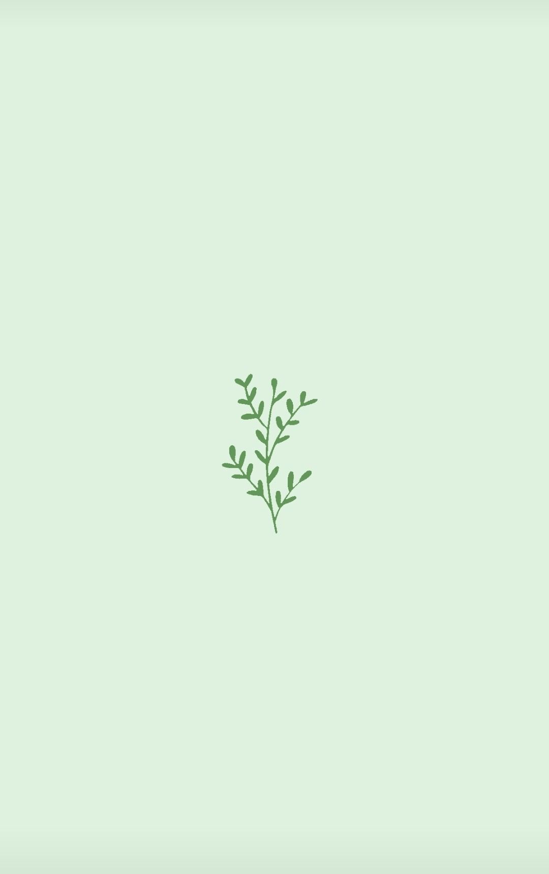 Aesthetic Green Minimal Wallpapers