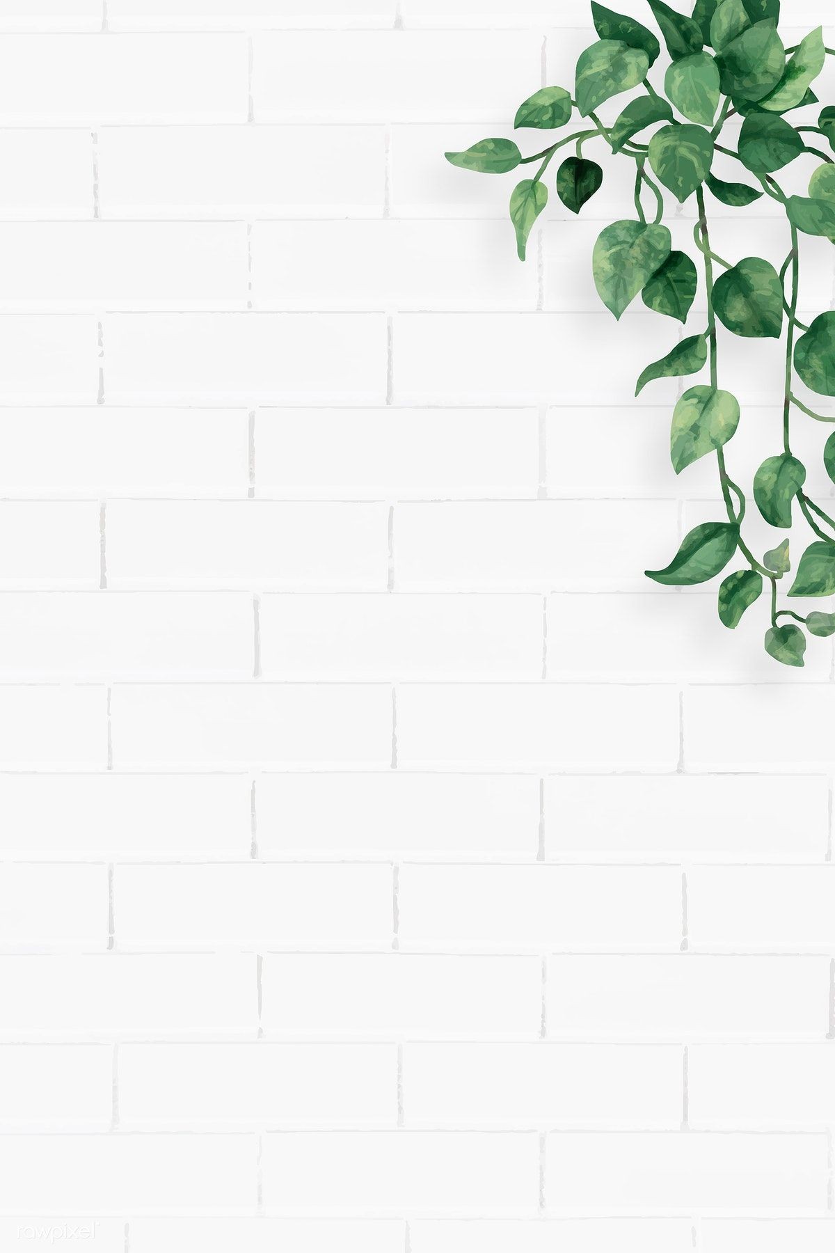 Aesthetic Grid Plants Wallpapers