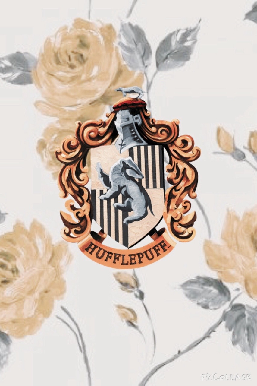 Aesthetic Harry Potter House Wallpapers