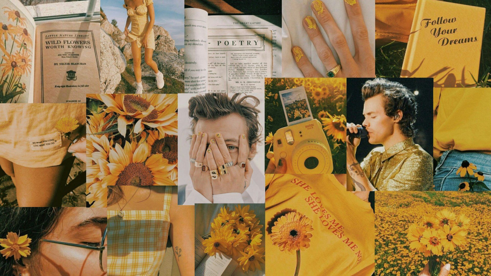 Aesthetic Harry Styles Wallpapers