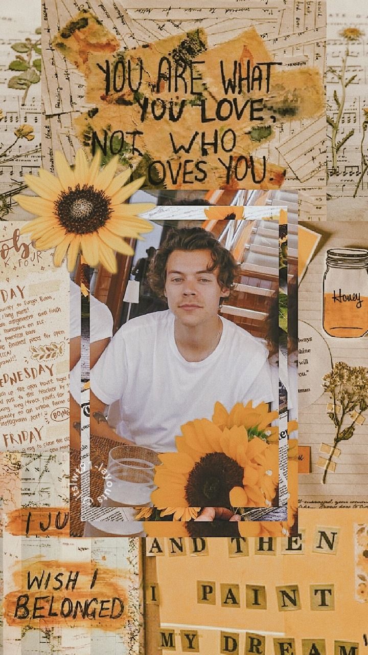 Aesthetic Harry Styles Wallpapers