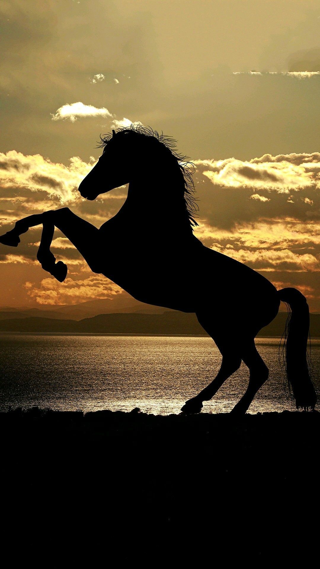 Aesthetic Horse Wallpapers