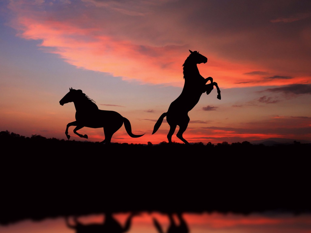 Aesthetic Horse Wallpapers