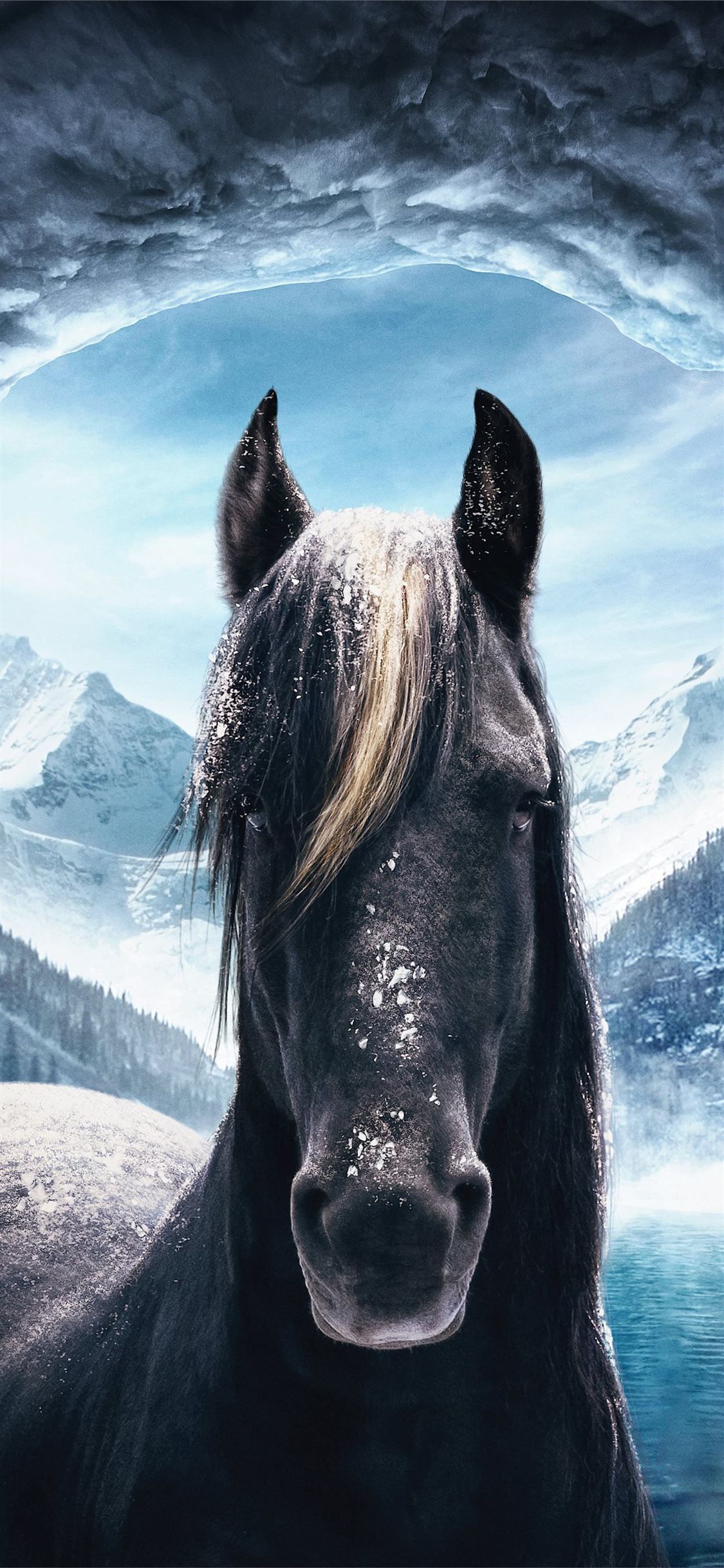 Aesthetic Horse Wallpapers