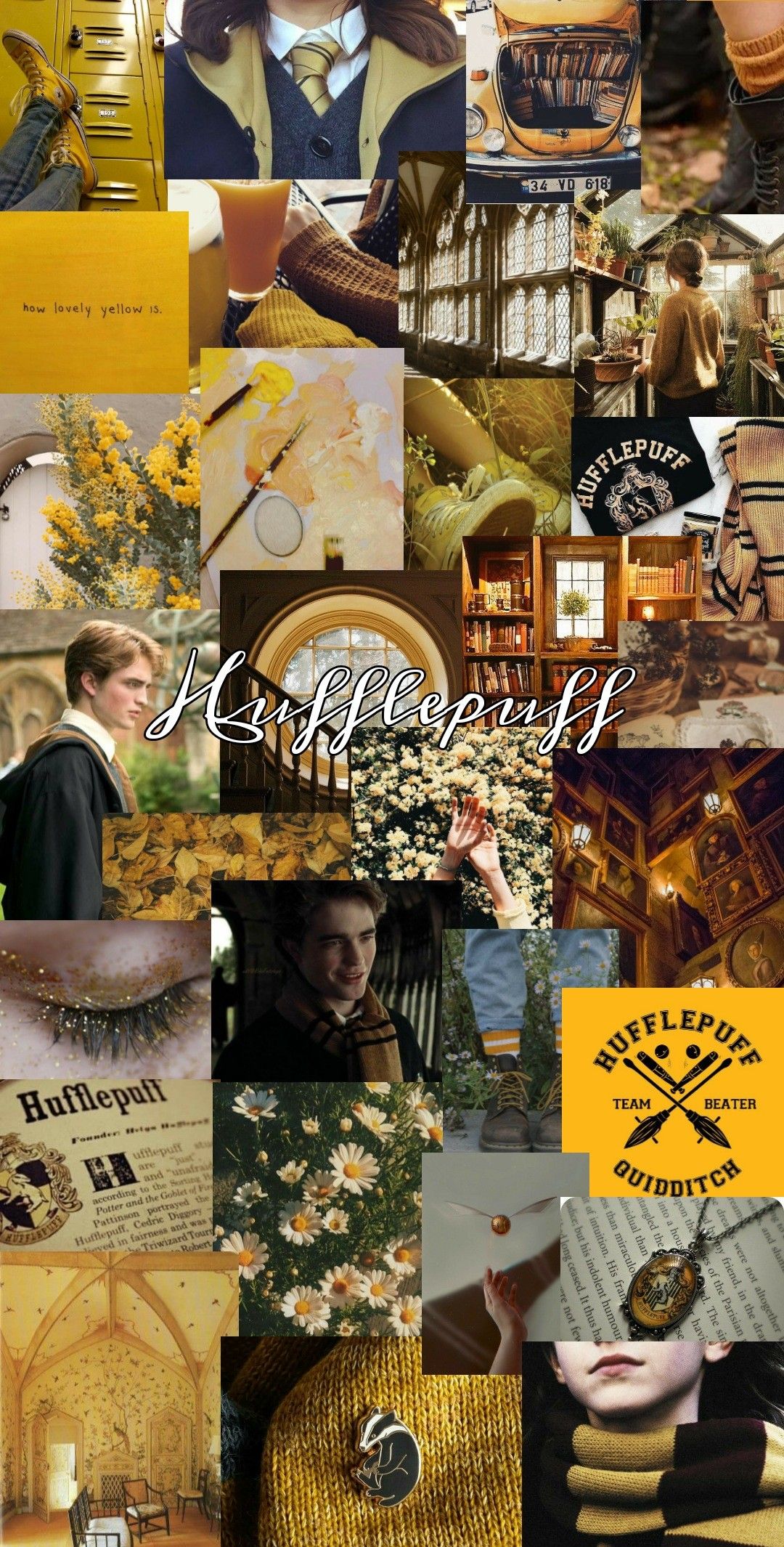 Aesthetic Hufflepuff Wallpapers