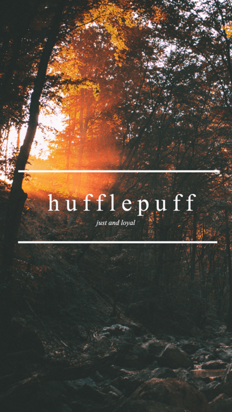 Aesthetic Hufflepuff Wallpapers