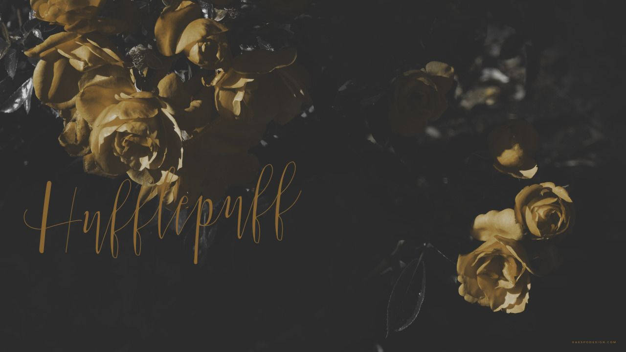 Aesthetic Hufflepuff Wallpapers