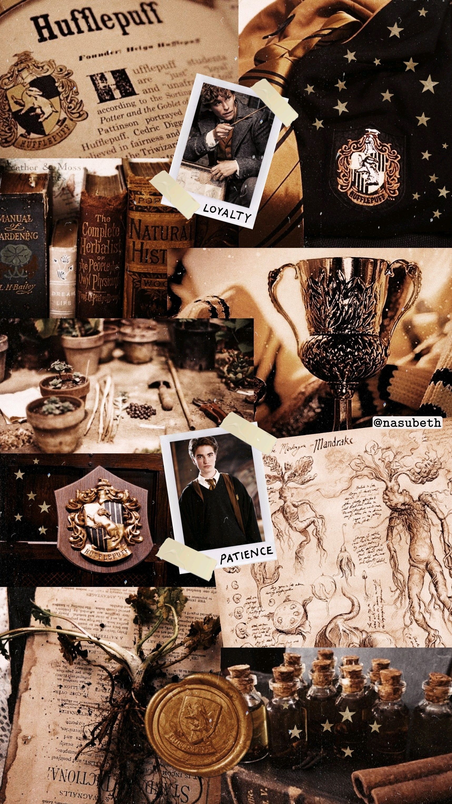 Aesthetic Hufflepuff Wallpapers