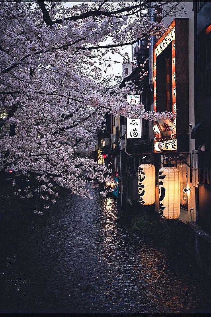 Aesthetic Japan Wallpapers