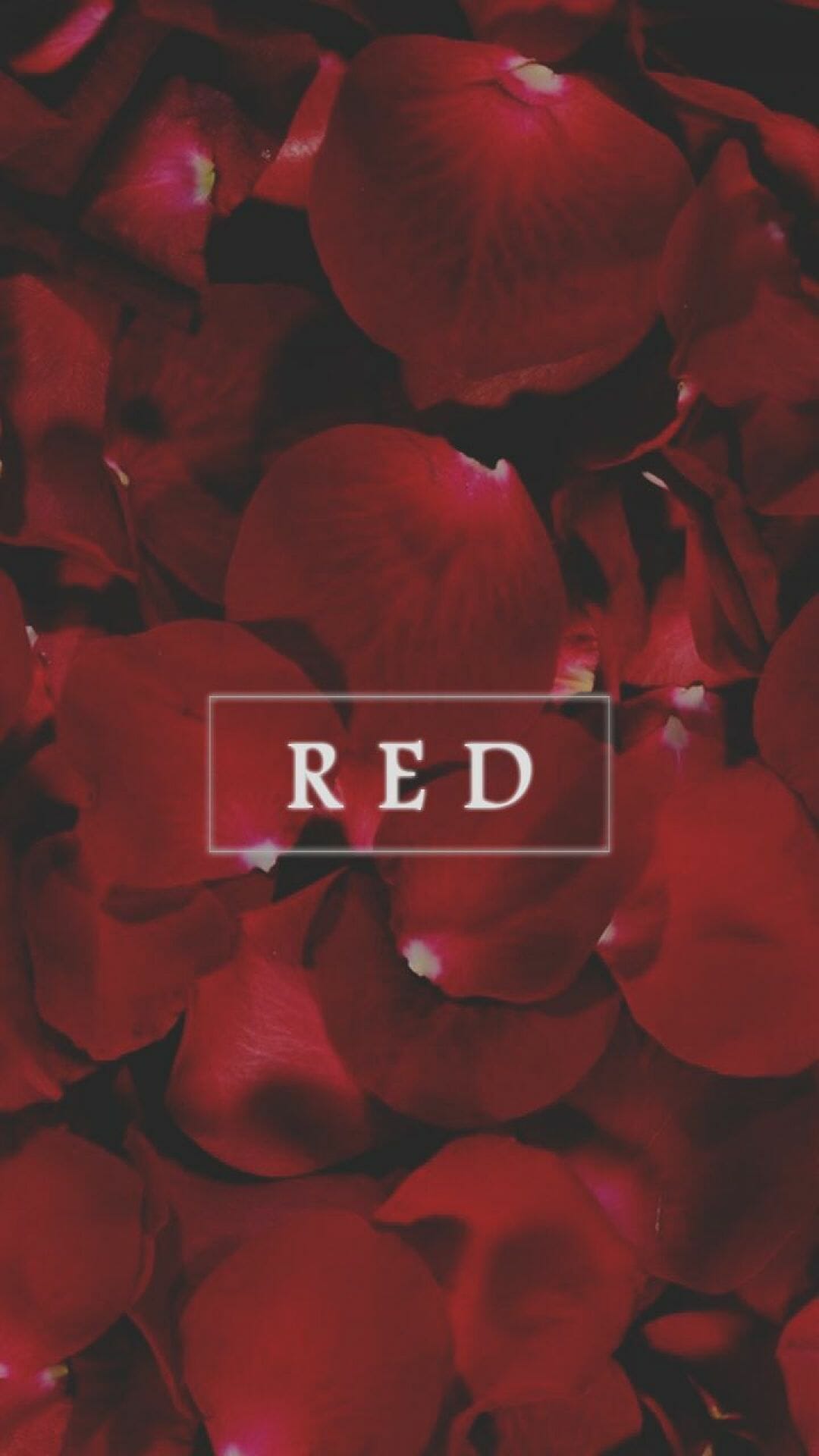 Aesthetic Laptop Red Wallpapers