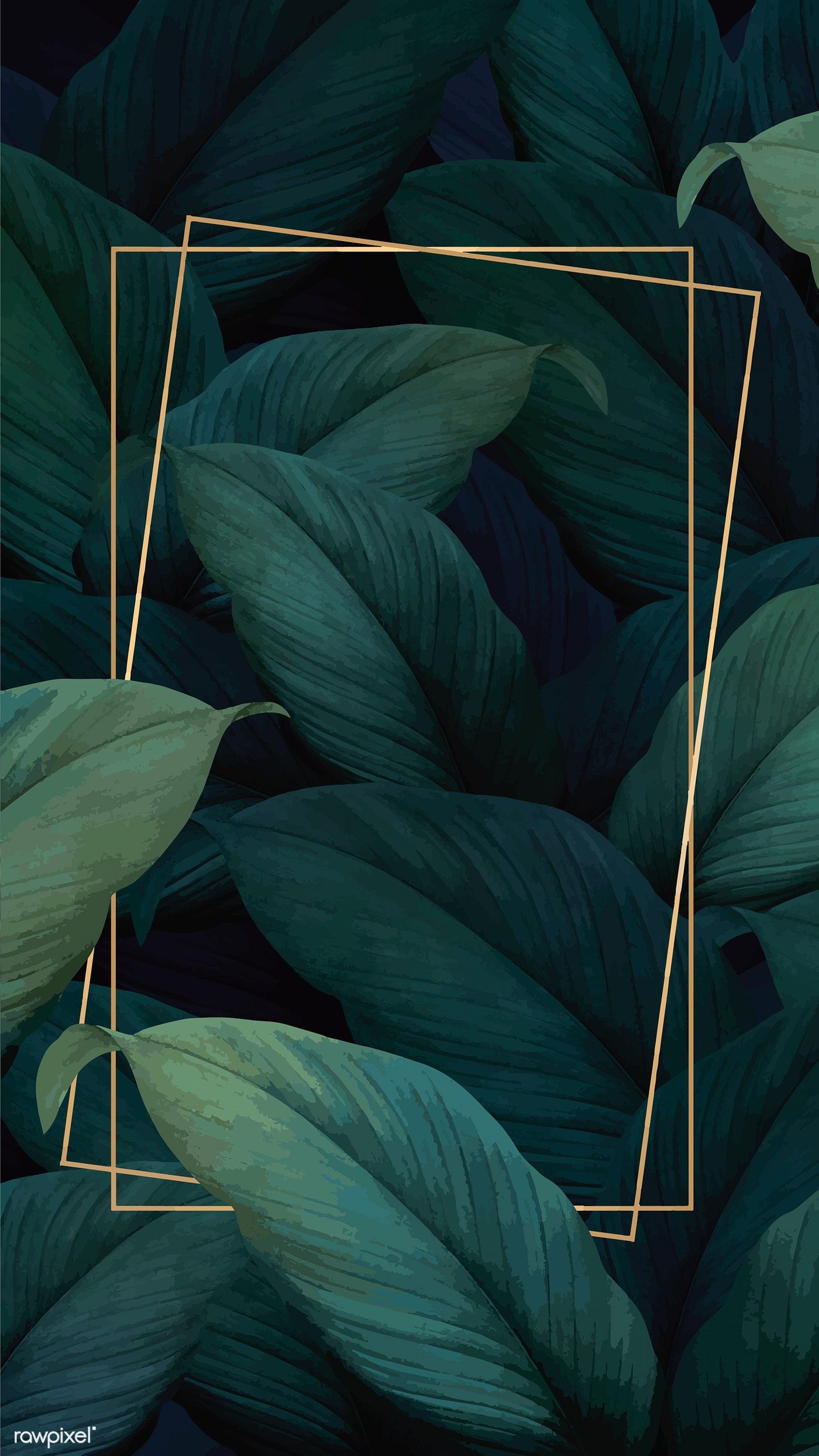 Aesthetic Leaves Wallpapers