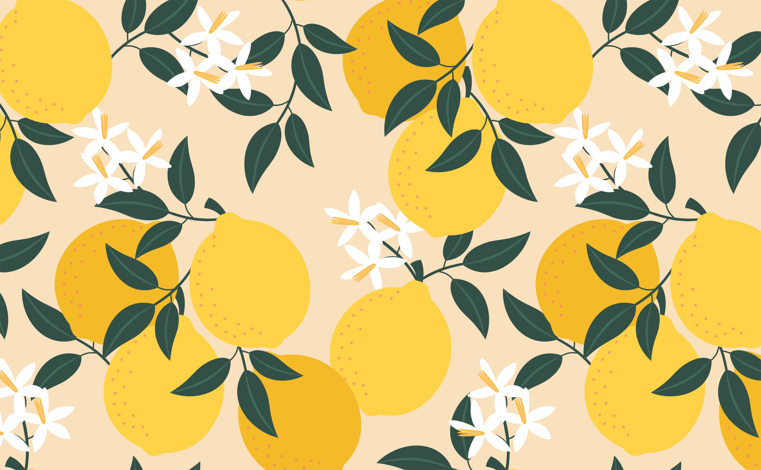 Aesthetic Lemon Wallpapers