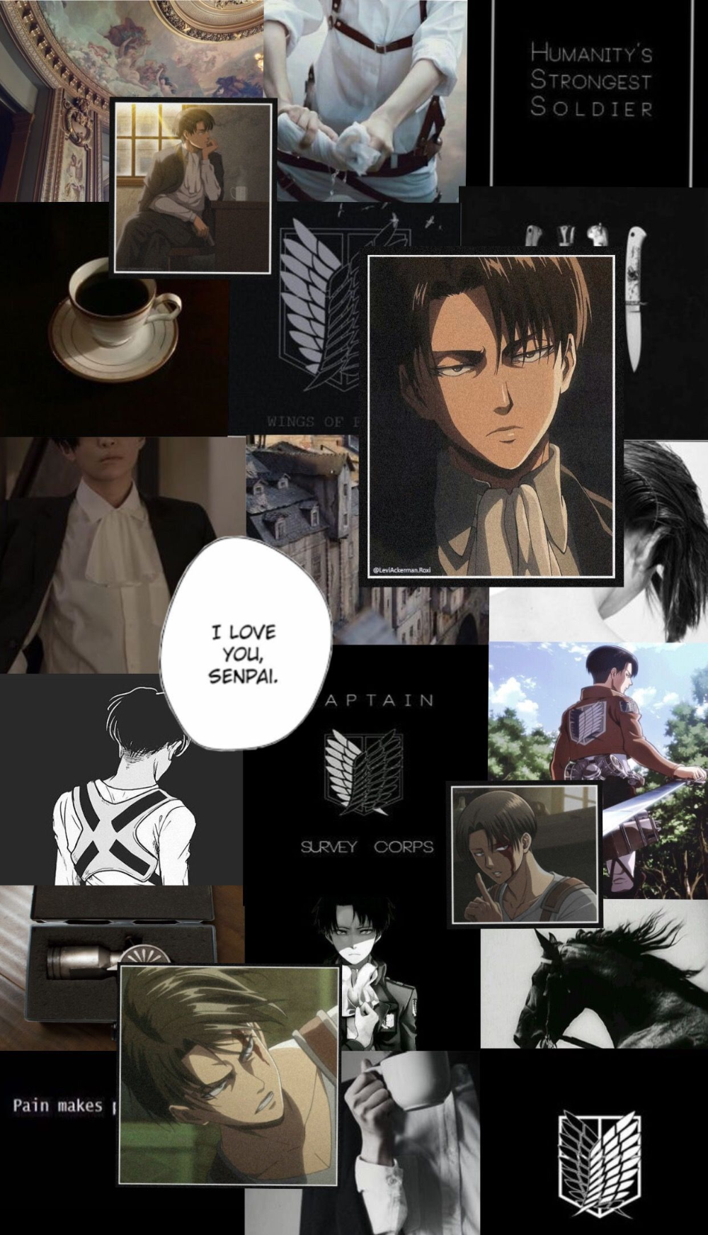 Aesthetic Levi Ackerman Wallpapers