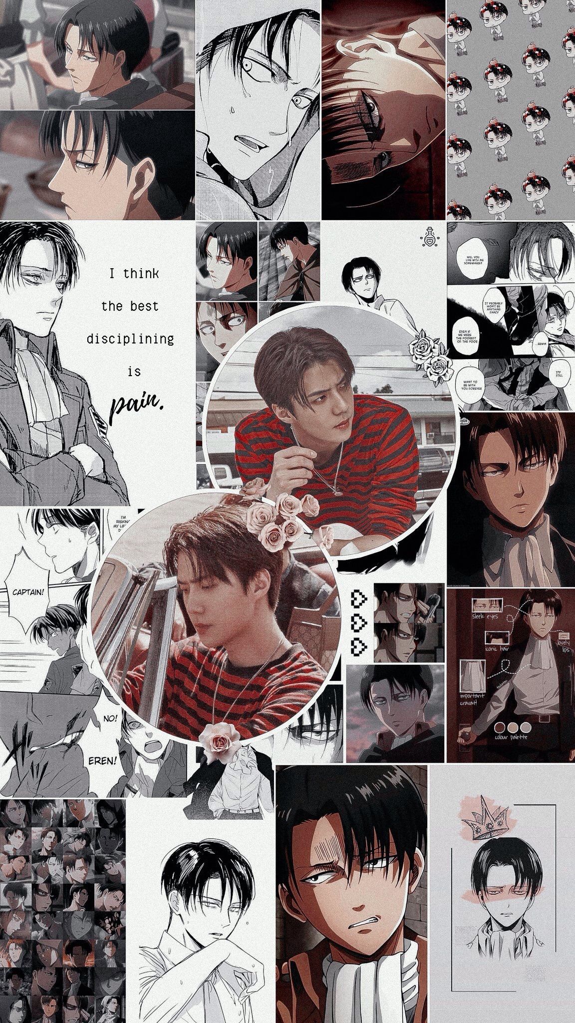 Aesthetic Levi Ackerman Wallpapers