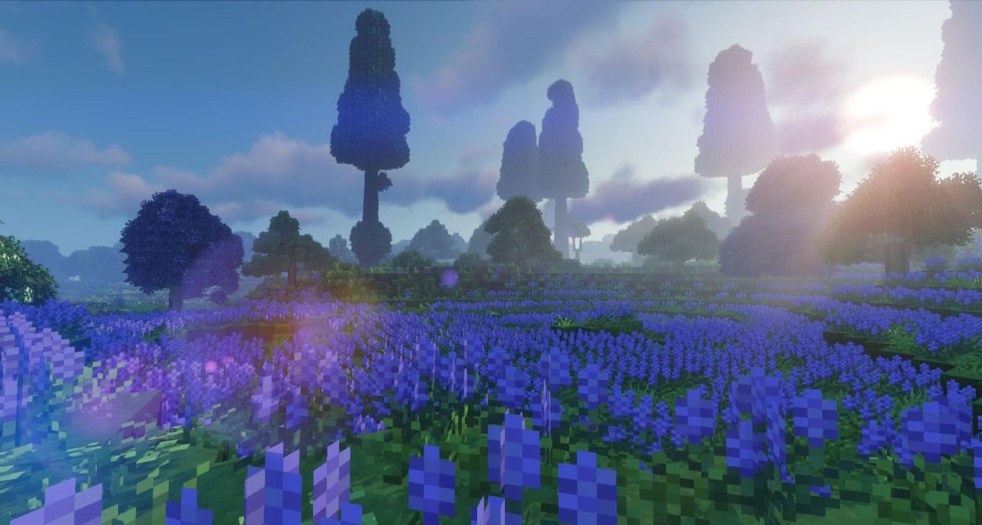 Minecraft purple