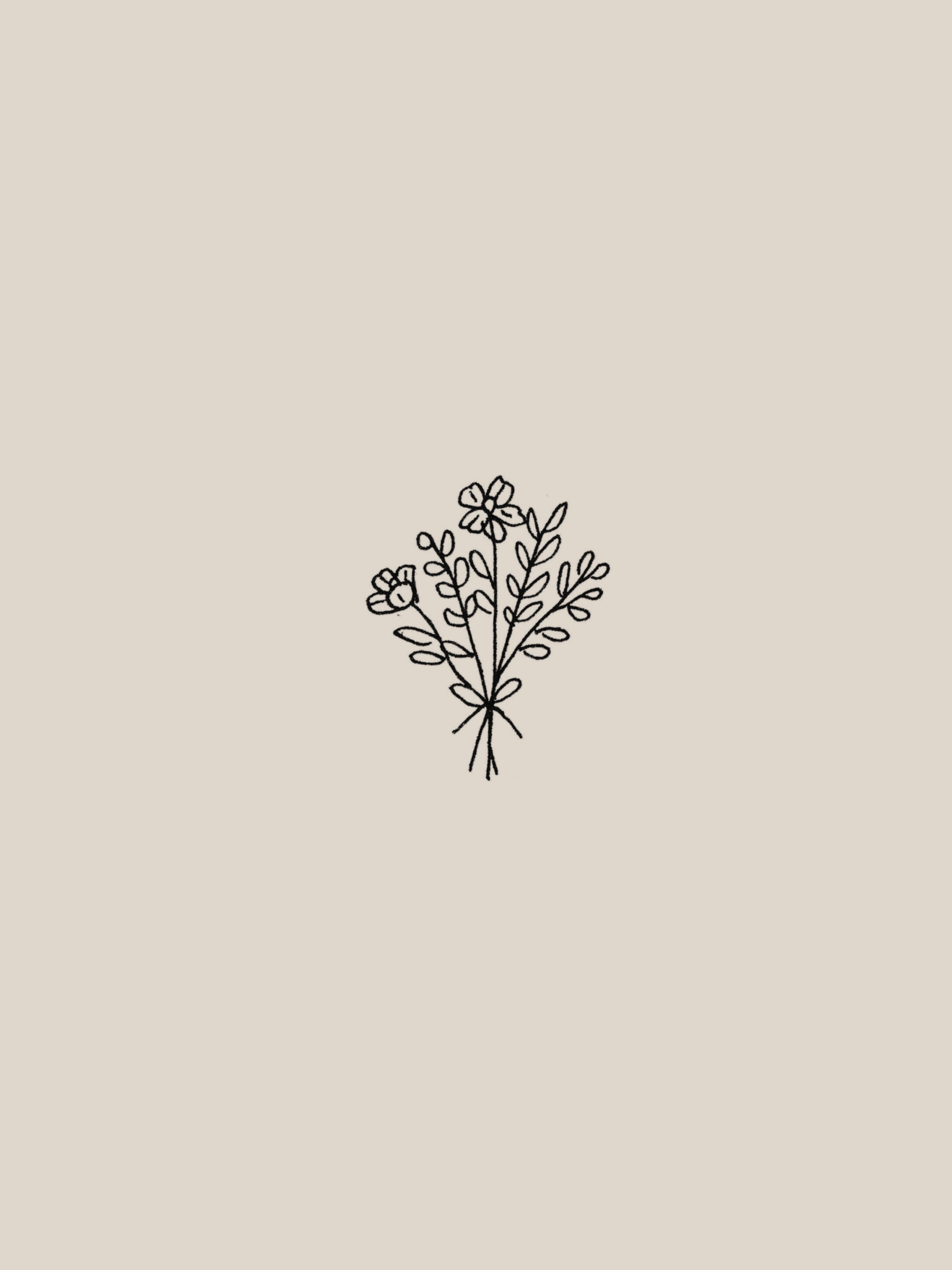 Aesthetic Minimalist Flower Drawing Wallpapers